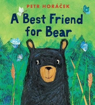 A Best Friend for Bear - Petr Horacek