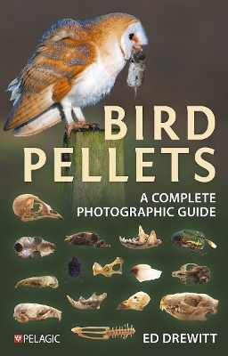 Bird Pellets - Ed Drewitt