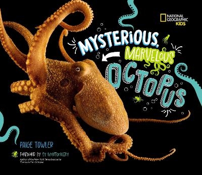 Mysterious, Marvelous Octopus - Paige Towler