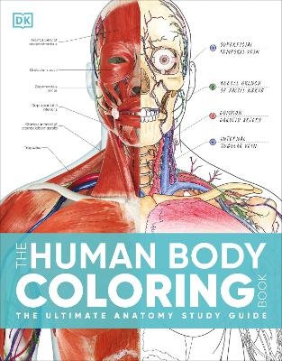 The Human Body Coloring Book -  Dk