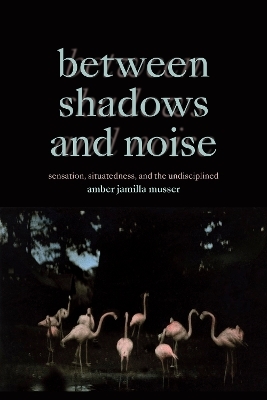 Between Shadows and Noise - Amber Jamilla Musser