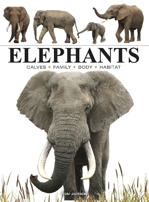 Elephants - Tom Jackson