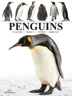 Penguins - Tom Jackson