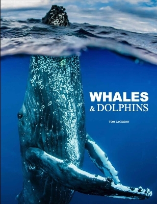 Whales & Dolphins - Tom Jackson