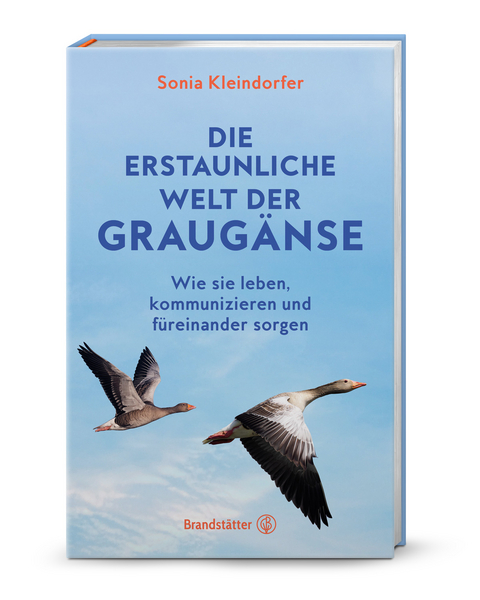 Die erstaunliche Welt der Graugänse - Sonia Kleindorfer, Patricia McAllister-Käfer