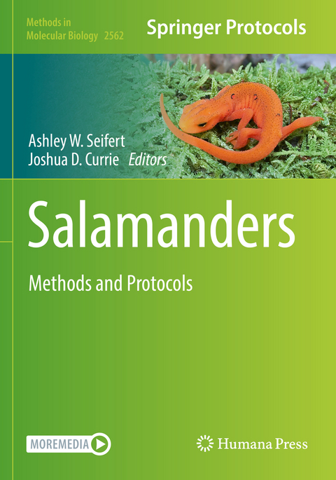 Salamanders - 