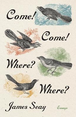 Come! Come! Where? Where? - James Seay