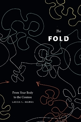 The Fold - Laura U. Marks