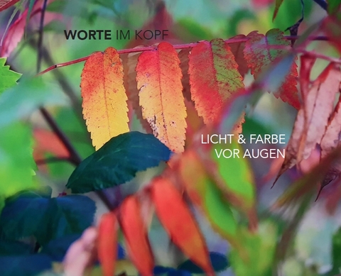 Worte im Kopf – Licht & Farbe vor Augen - Lea Andersson, Hanns Christian Roth