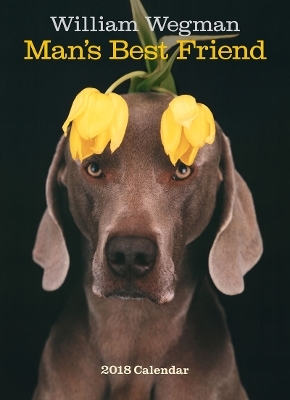 William Wegman Man's Best Friend 2018 Wall Calendar - William Wegman