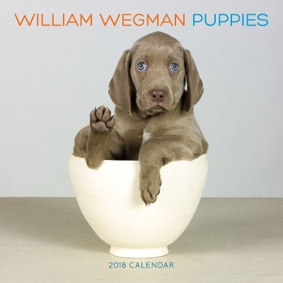 William Wegman Puppies 2018 Wall Calendar - William Wegman