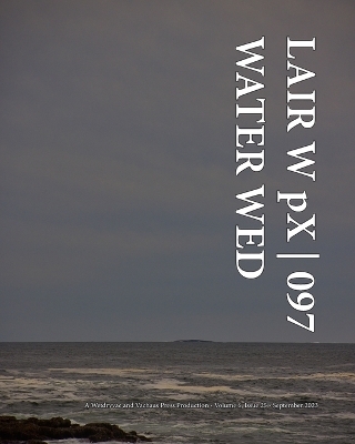 LAIR W pX 097 Water Wed -  Wetdryvac