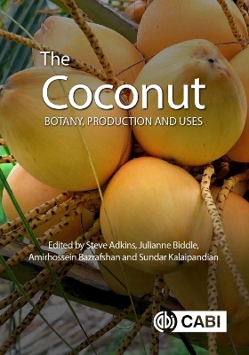 The Coconut - 