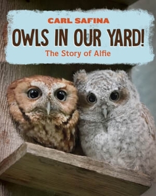 Owls in Our Yard! - Carl Safina