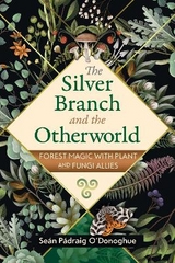 The Silver Branch and the Otherworld - Seán Pádraig O'Donoghue