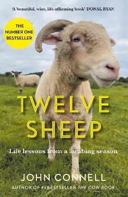 Twelve Sheep - John Connell