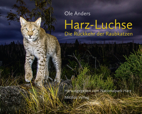 Harz-Luchse - Ole Anders