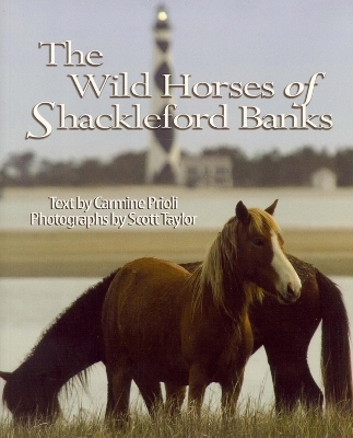 Wild Horses of Shackleford Banks - Carmine Prioli, Scott Taylor