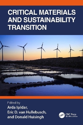 Critical Materials and Sustainability Transition - 