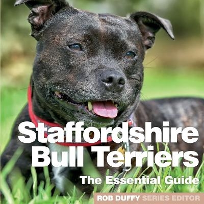 Staffordshire Bull Terriers - 