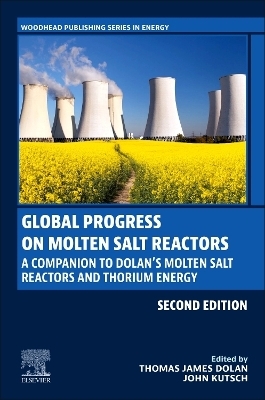 Global Progress on Molten Salt Reactors - 