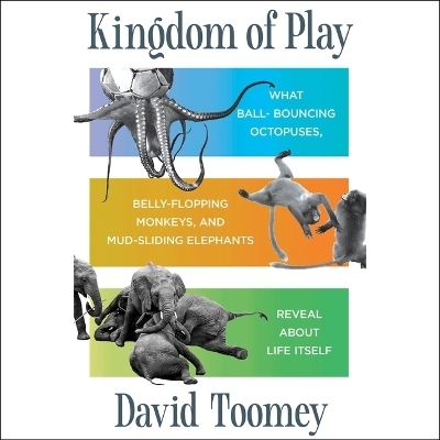 Kingdom of Play - David Toomey