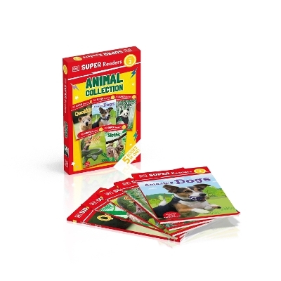 DK Super Readers Level 2 box set -  Dk