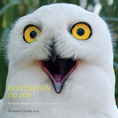 Invitation to Joy - Michael S Lewis