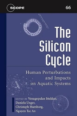 The Silicon Cycle - 