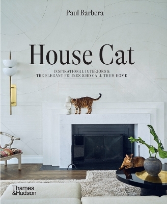 House Cat - Paul Barbera