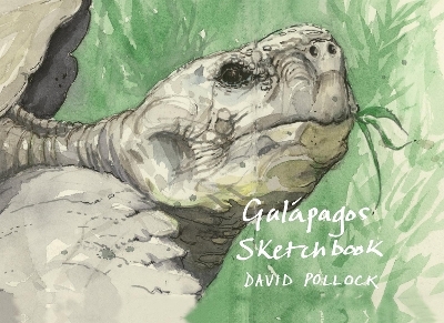 Galápagos Sketchbook - David Pollock