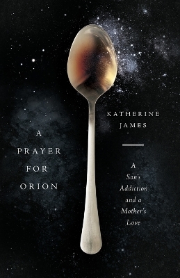 A Prayer for Orion – A Son`s Addiction and a Mother`s Love - Katherine James