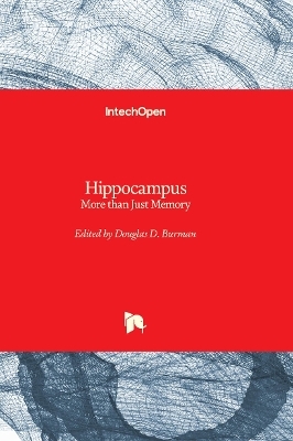 Hippocampus - 