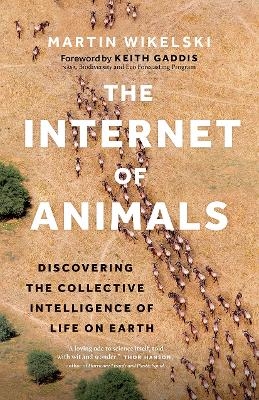 The Internet of Animals - Martin Wikelski