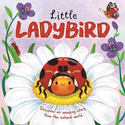 Little Ladybird -  Autumn Publishing