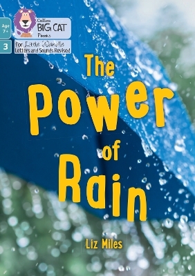 The Power of Rain - Liz Miles