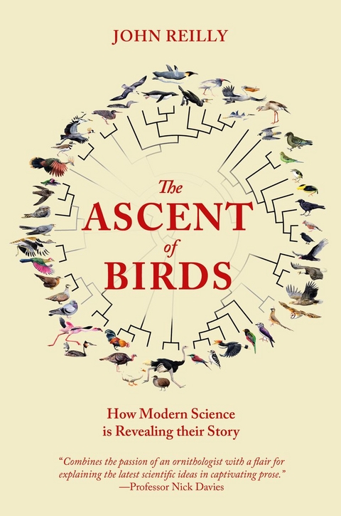 The Ascent of Birds - John Reilly