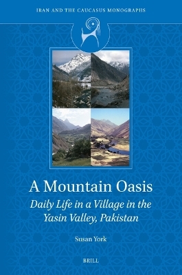 A Mountain Oasis - Susan York