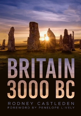 Britain 3000 BC - Rodney Castleden