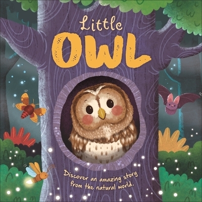 Little Owl -  Autumn Publishing