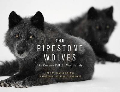 The Pipestone Wolves - Gnther Bloch