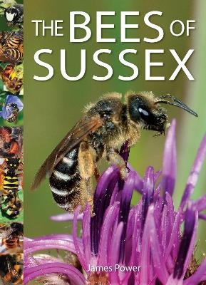 The Bees of Sussex - James Power