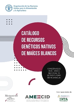 Catálogo de recursos genéticos nativos de maíces blancos conservados en el Banco Nacional de Germoplasma de Nicaragua - D. Juárez Gámez, N. Cajina Acevedo, I. León, A. Martinuz