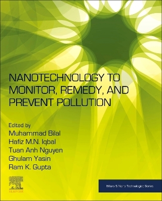 Nanotechnology to Monitor, Remedy, and Prevent Pollution - 