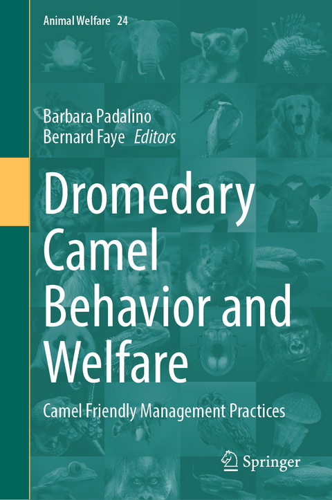 Dromedary Camel Behavior and Welfare - 