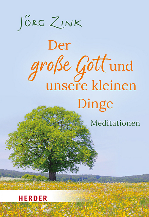 Der große Gott und unsere kleinen Dinge - Jörg Zink