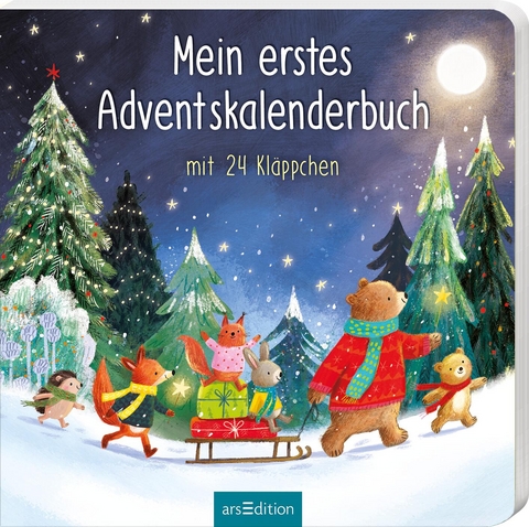 Mein erstes Adventskalenderbuch - Maria Höck