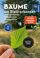 Bäume am Blatt erkennen - Meike Bosch