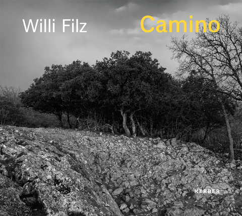 Willi Filz - 