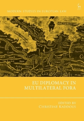EU Diplomacy in Multilateral Fora - 